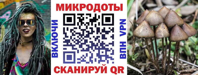 Псилоцибиновые грибы Cubensis  Северо-Курильск 